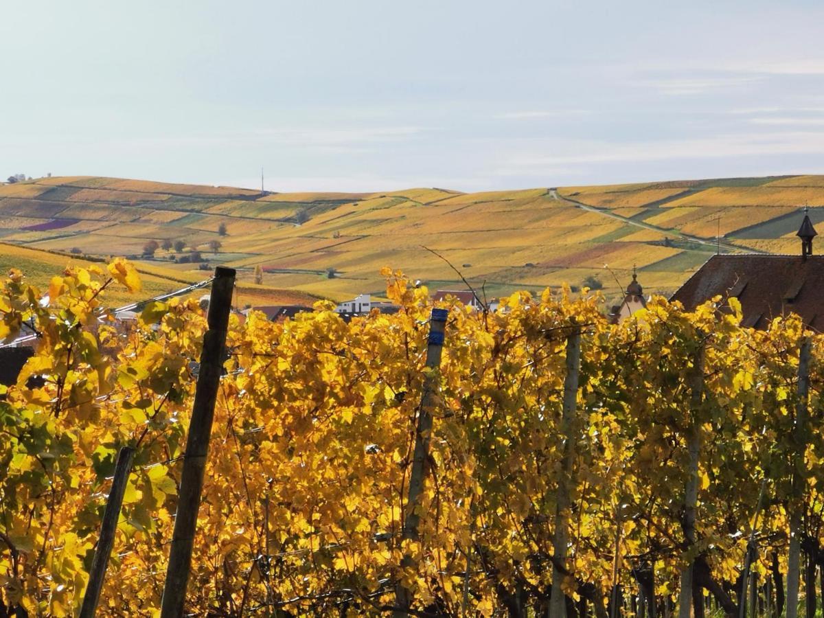 Ferienwohnung Birkental Ebringen Esterno foto