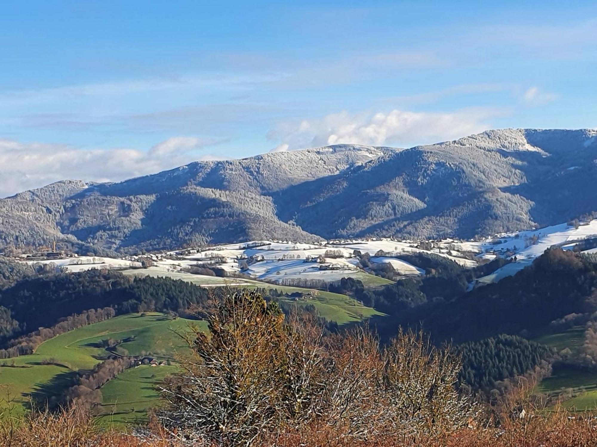 Ferienwohnung Birkental Ebringen Esterno foto