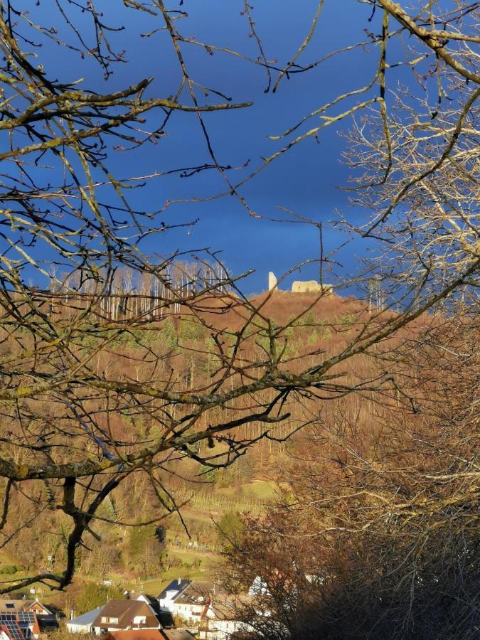Ferienwohnung Birkental Ebringen Esterno foto