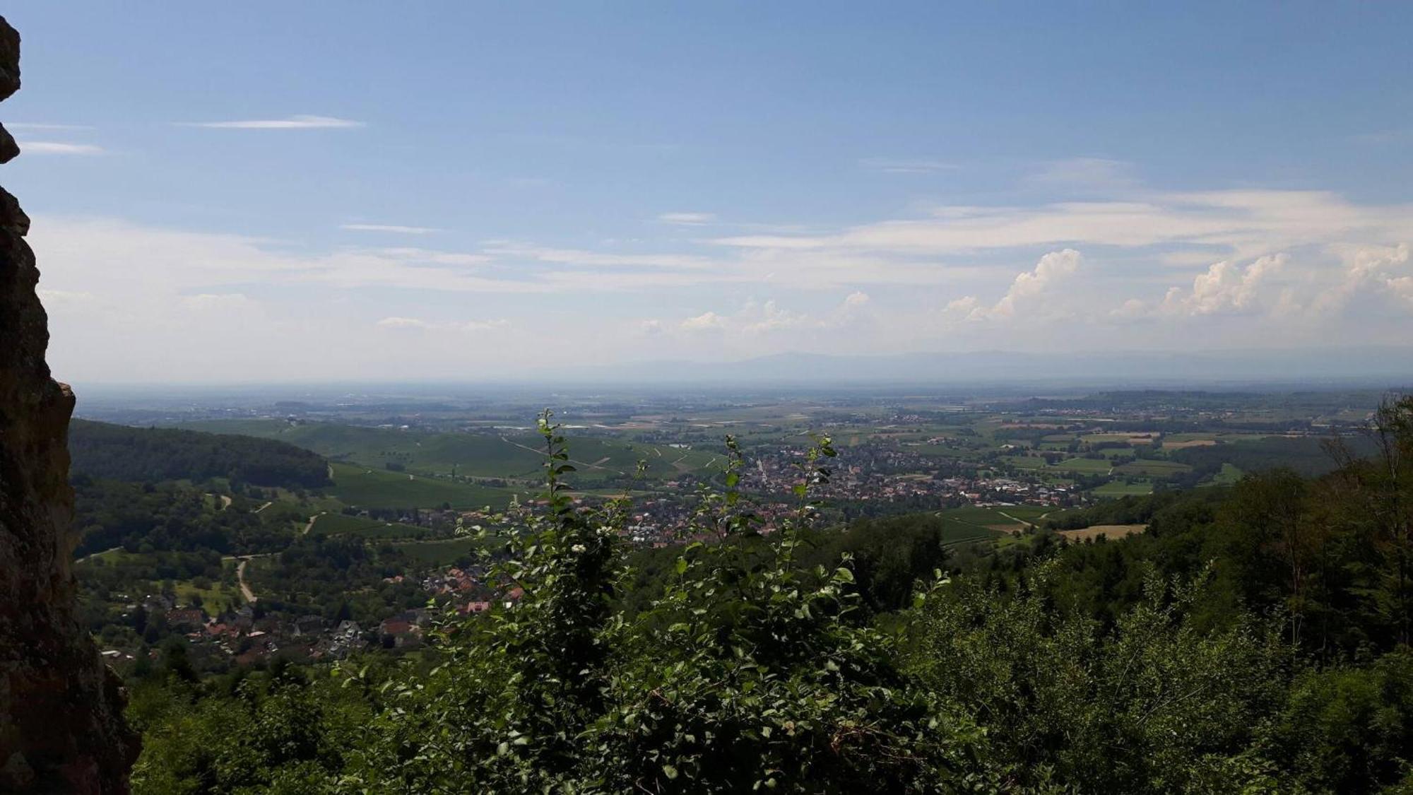 Ferienwohnung Birkental Ebringen Esterno foto